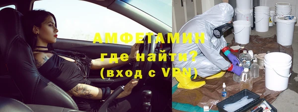 индика Алзамай