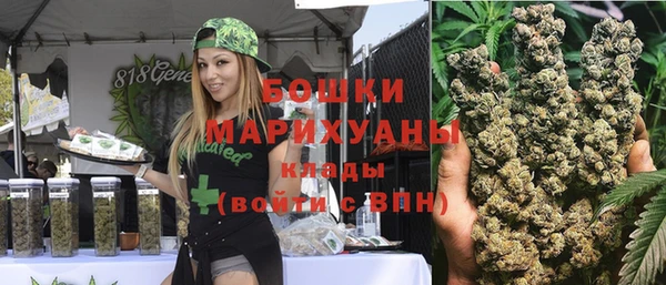 индика Алзамай
