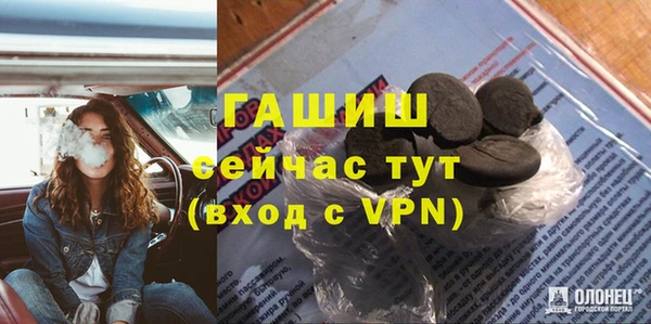 индика Алзамай