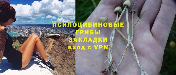 индика Алзамай