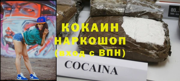 индика Алзамай