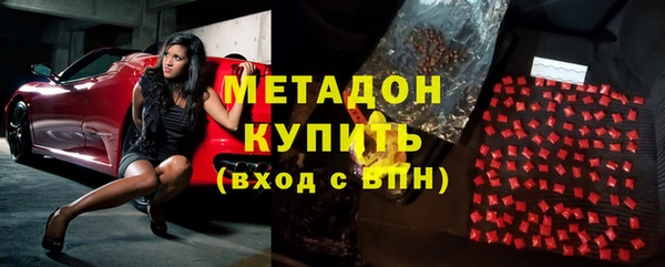 индика Алзамай