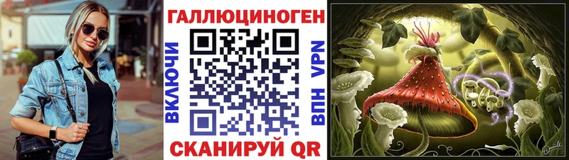 Галлюциногенные грибы Psilocybine cubensis Данков